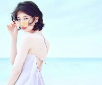 可能是WordPress中首创的自定义表单支付功能演示