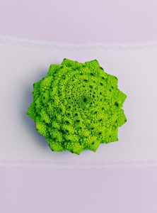 动物也逗逼