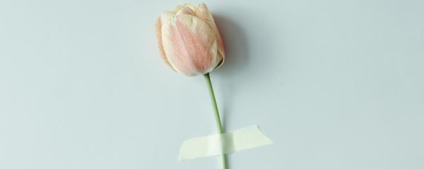 心系武汉，区块链从业者不是旁观者